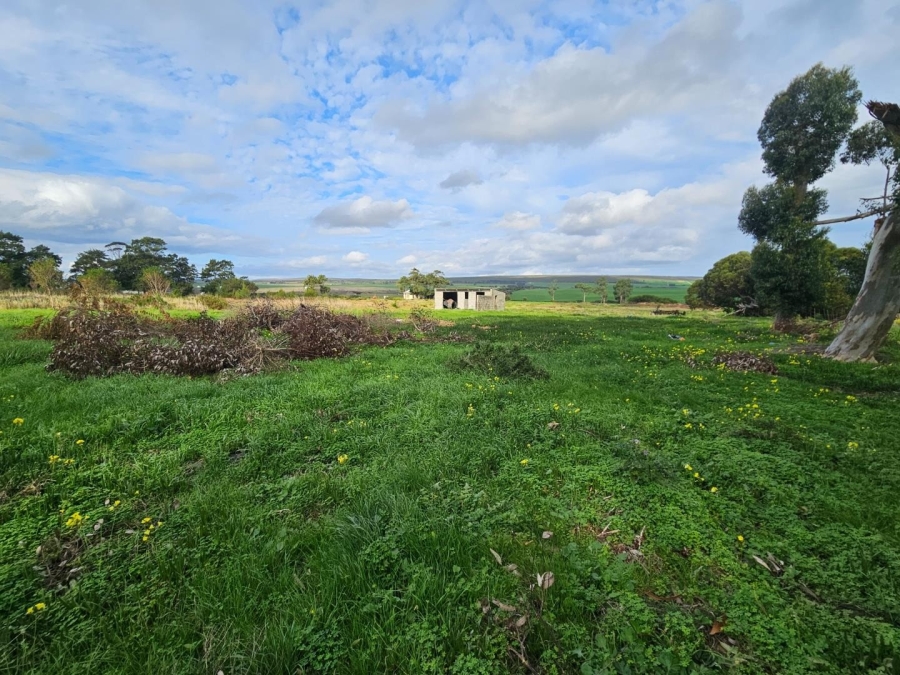 0 Bedroom Property for Sale in Baardskeerdersbos Western Cape